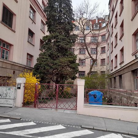 Beautiful Appartment In The Old Town Of Bratislava Dış mekan fotoğraf